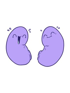 Mutlu böbreklerin dönen hareketli animasyonu.