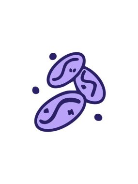 Üç Brezilya kahve çekirdeğinin birlikte çizildiği yıldız patlaması animasyonu