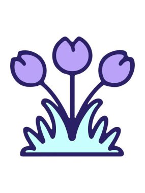 Çiçek çiziminin ışık efekti animasyonu