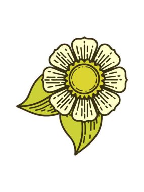 Bir çiçeğin ikonik dövmesinin renk değişimi