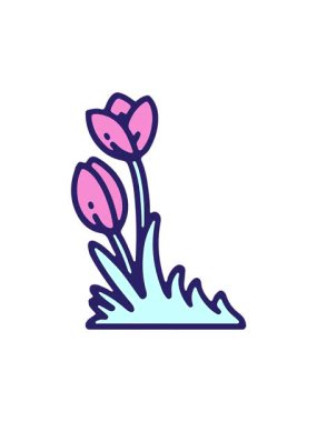 El çizimi lale çiçeğinin hareketli animasyonu