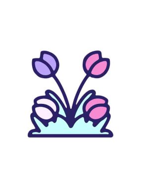 Elle çizilmiş lale çiçeği tasarımının gösterişli satış animasyonu