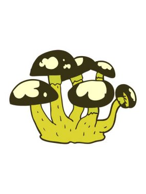 Mantarların renk animasyonu değişiyor