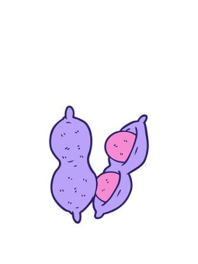 Fıstık animasyonunu genişletiyorum.