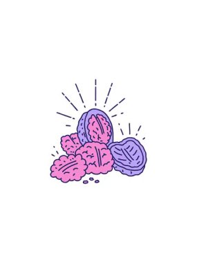 Radyasyon dövmeli kabuklu ceviz satışı animasyonu