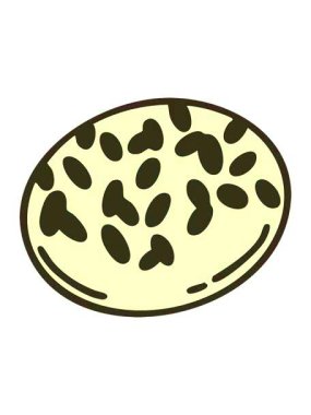 Geleneksel Brezilya çikolatalı Brigadeiro çiziminin renk değişimi