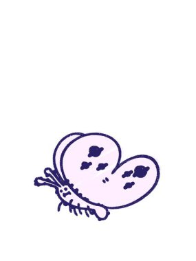 Kelebek Tebeşiri Çiziminin Canlandırılması