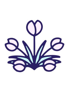 lale çiçeğinin parlak ışık efekti