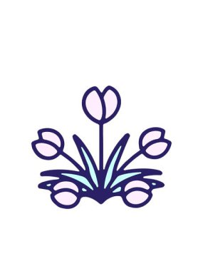 Yanıp sönen radyal çizgiler lale çiçeğinin canlandırması