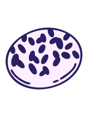 Geleneksel Brezilya çikolatalı Brigadeiro çiziminin hareketli animasyonu