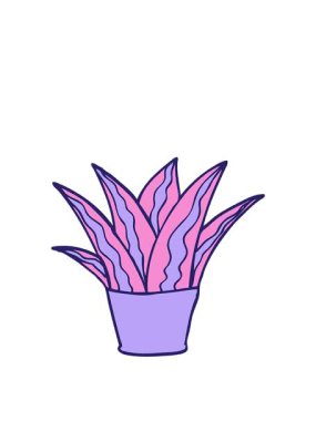 Ev bitkisi karalamalarının animasyonunu genişletiyorum.