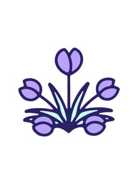 Dikkat çekici çiçek tasarımı animasyonu