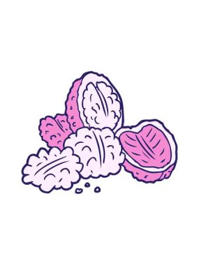 Çizgi film cevizlerinin hareketli animasyonu