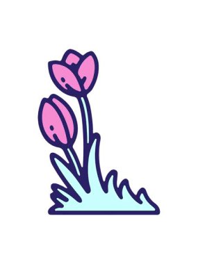 el çizimi lale çiçeğinin basınçlı animasyonu