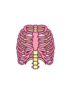Parlak renkli göğüs kafesinin ikonik dövme imgesinin gösterişli satış animasyonu