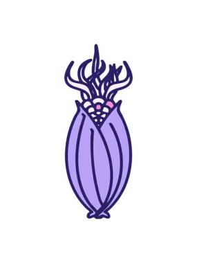 Koçandaki kabuksuz Brezilya mısırının titrek hareketli animasyonu