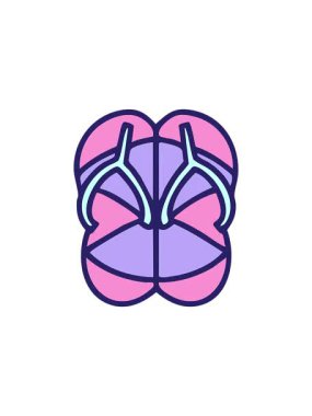 Brezilya tarzı çizim yapan plaj sandaletlerinin yıldız patlaması etkisi