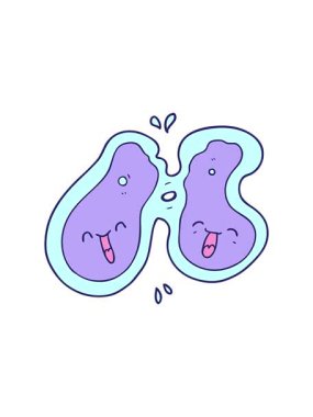 Karikatür hücre bölünmesinin hareketli canlandırması