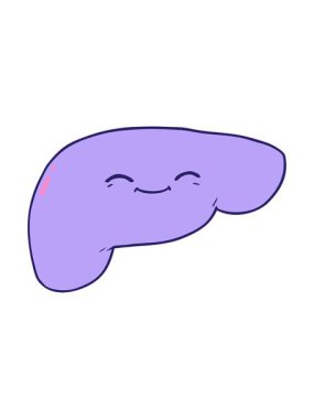 Karikatür karaciğerinin animasyonunu çalıştır