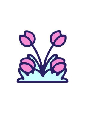 El çizimi lalenin gösterişli satış animasyonu