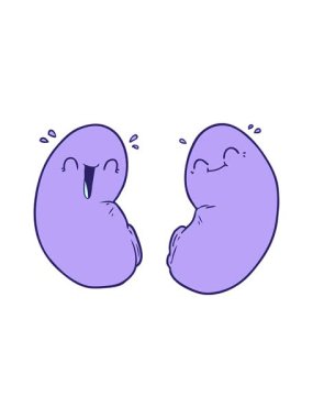 Mutlu böbreklerin çizgi filmdeki hareketli animasyonları