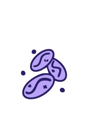 Üç Brezilya kahve çekirdeğinin hareketli animasyonunu çiziyorum.