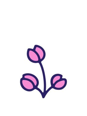 lale çiçeği çiziminin animasyonunu genişletiyor