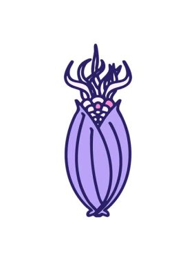 Cob çiziminde kabuksuz Brezilya mısırının canlandırma efekti