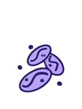 Üç Brezilya kahve çekirdeğinin animasyonunu birlikte çizerek.