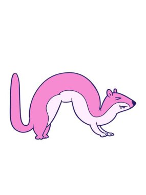 Bir gelincik çizgi filminin hareketli animasyonu