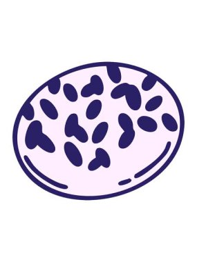 Geleneksel Brezilya çikolatalı Brigadeiro çiziminin animasyonunu canlandırın