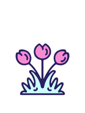 Basit lale çiçeğinin hareketli animasyonu