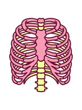 Parlak renkli göğüs kafesinin ikonik dövme görüntüsünü bob ve duraklat