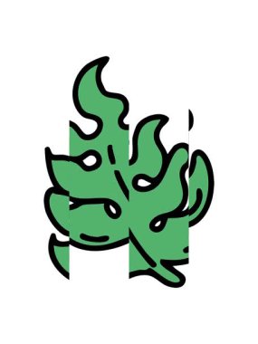 Brezilya bölgesi tropikal canavar bitki yaprağının bölünmüş hareketi