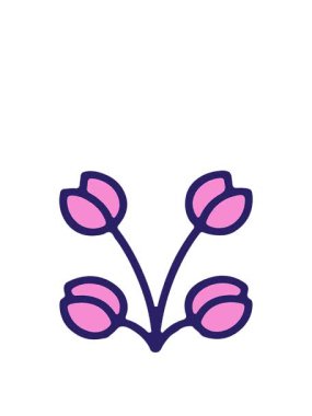 lale illüstrasyonunun canlandırılması