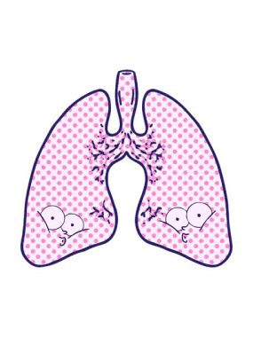 karikatür akciğerlerinin hareketli animasyonu