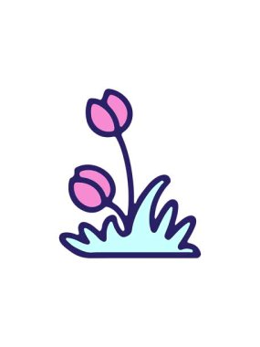 Sevimli lale çiçeği tasarımının yıldız patlaması etkisi animasyonu