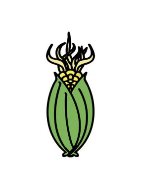 Parlak ışık efekti koçandaki kabuksuz Brezilya mısırının canlandırması