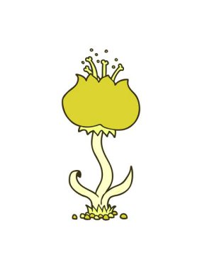 changing color animation of cartoon exotic flower