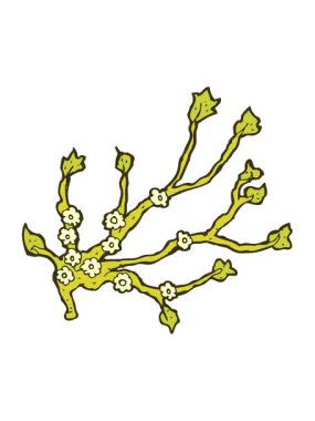 Çiçek açan çizgi film dalının renk canlandırması