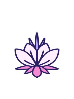 bir nilüfer çiçeğinin hareketli görüntüsü