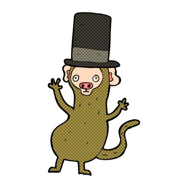 Silindir şapkalı maymun.