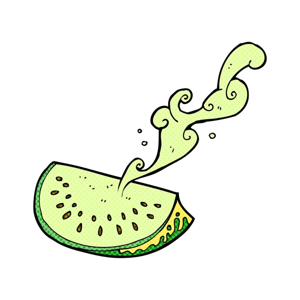 Melón dibujado a mano — Vector de stock