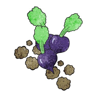 dokulu karikatür pancar