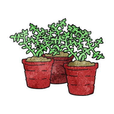 doku karikatür Saksı bitkileri