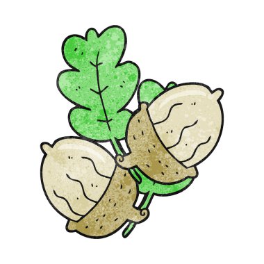 doku karikatür meşe palamutları