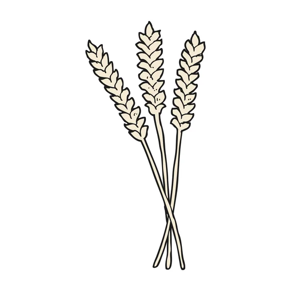 Dessin animé à la main libre blé — Image vectorielle