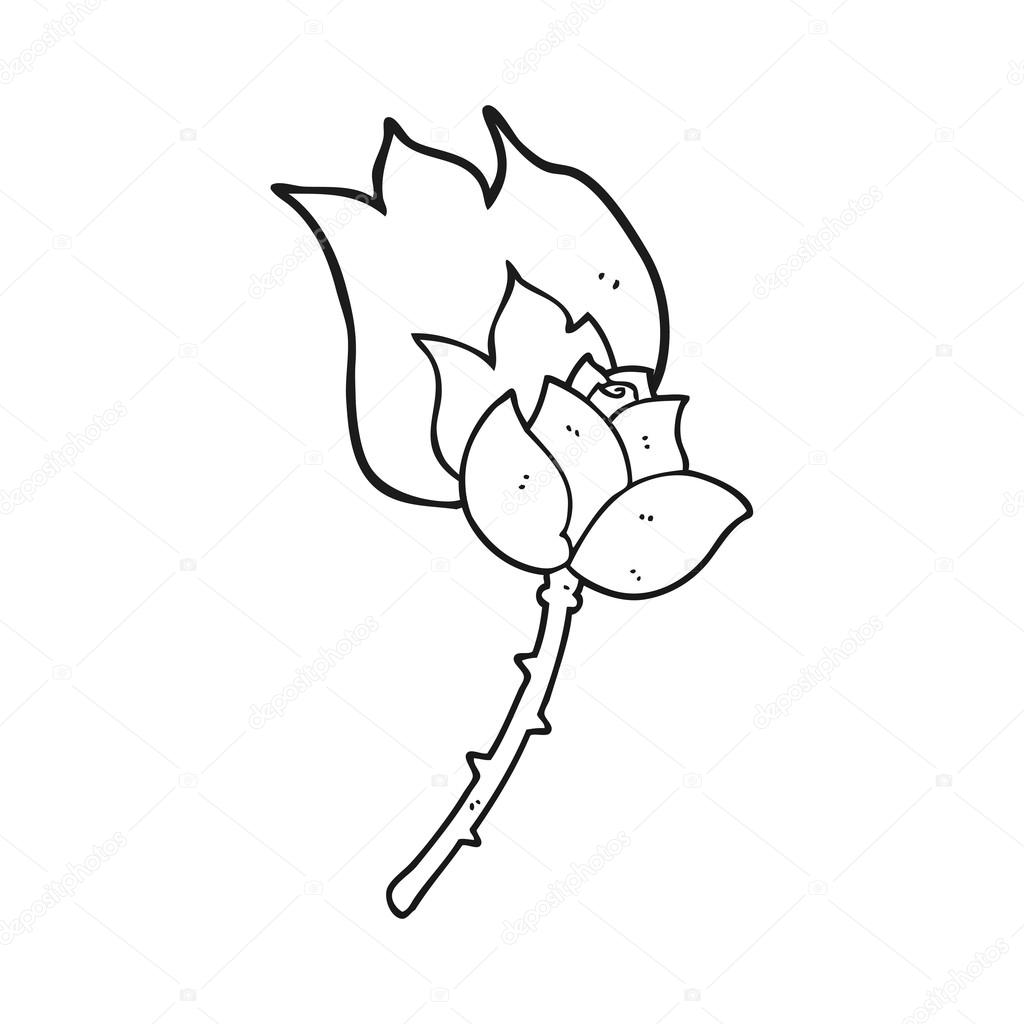 Black and white cartoon rose Stock Vector Image by ©lineartestpilot