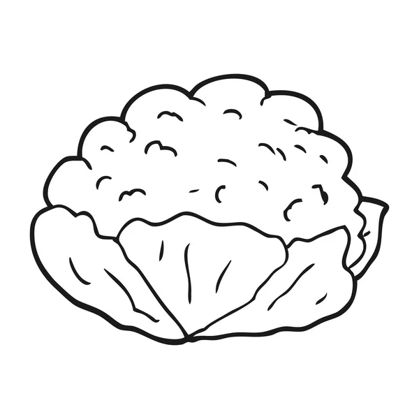 Coliflor de dibujos animados dibujado a mano alzada — Vector de stock