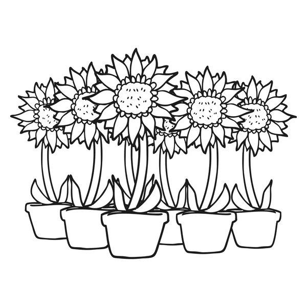 Girasoles de dibujos animados en blanco y negro — Vector de stock